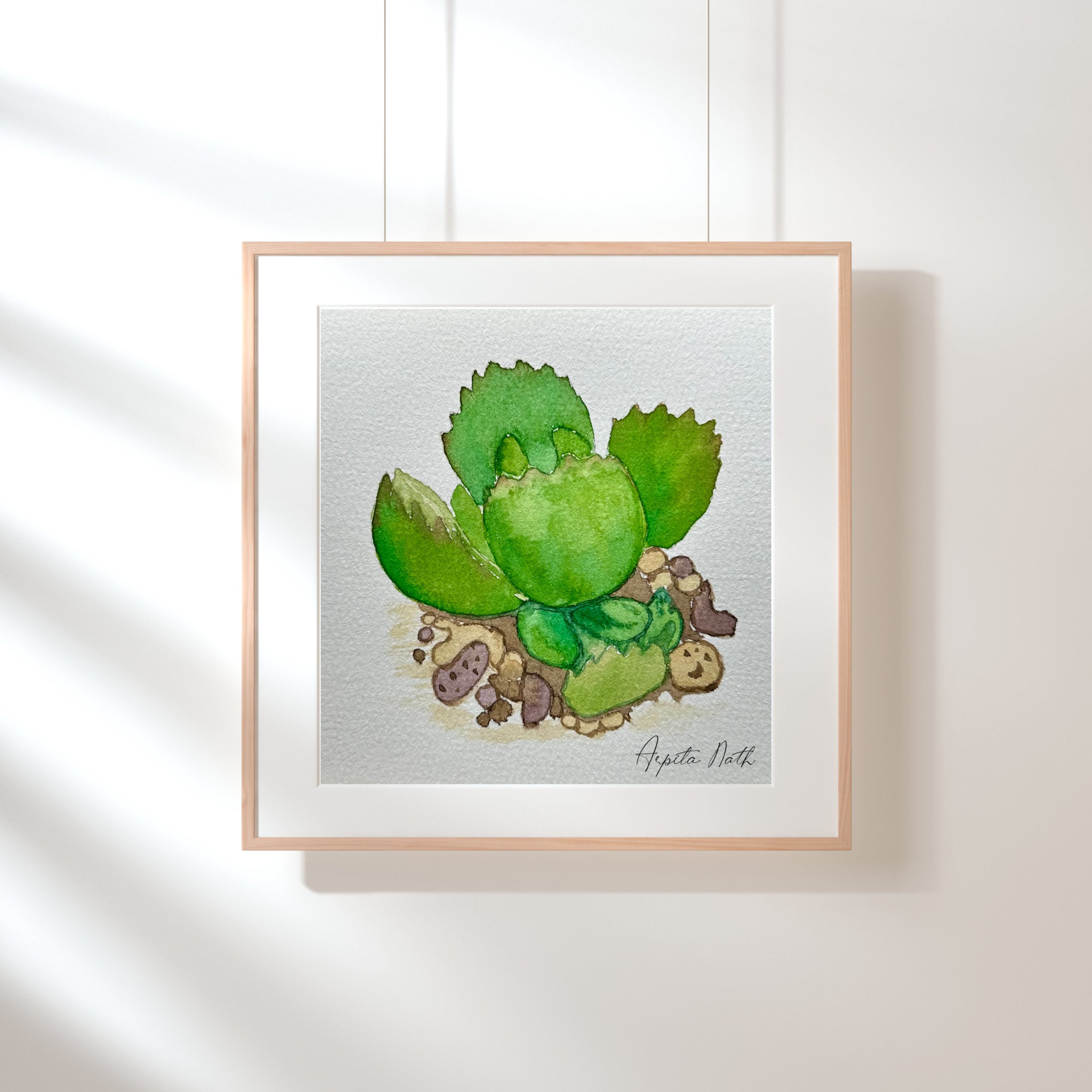 watercolour succulent