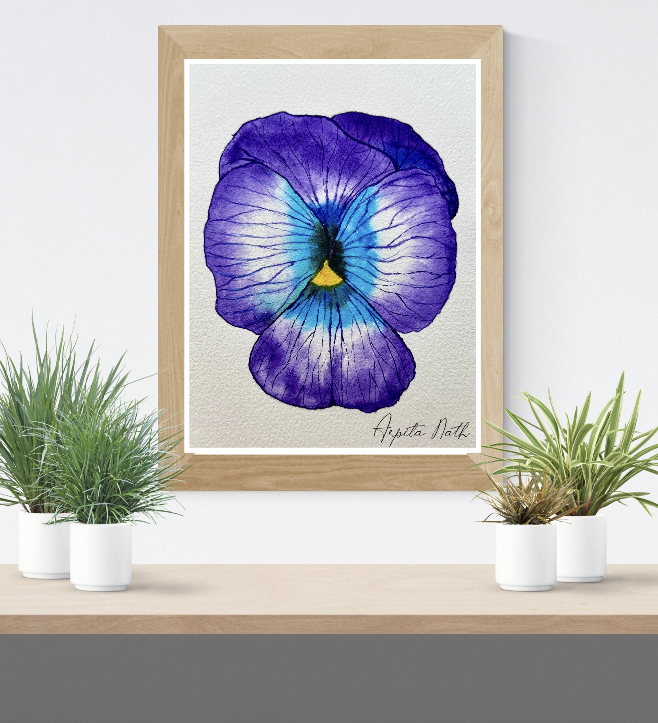 pansy flower violet